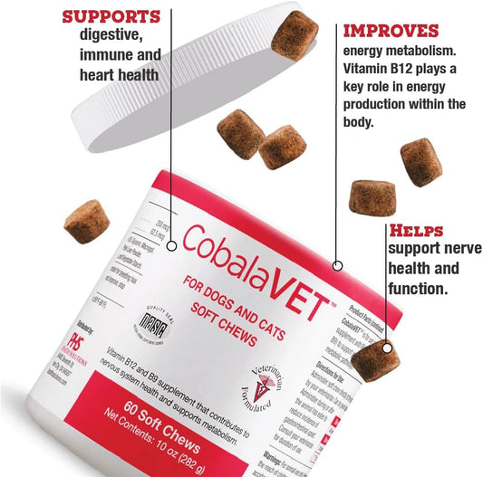 CobalaVet Vitamin B12 & B9 for Small Dogs & – Nervous System Support: B12 helps maintain myelin sheaths, – Image 1