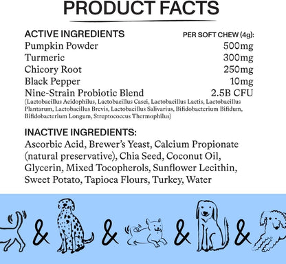Spot & Tango Probiotics Supplements for Dogs - Vet-Approved for Healthy Digestion and Balanced Gut - Pumpkin, Turmeric, – Image 5