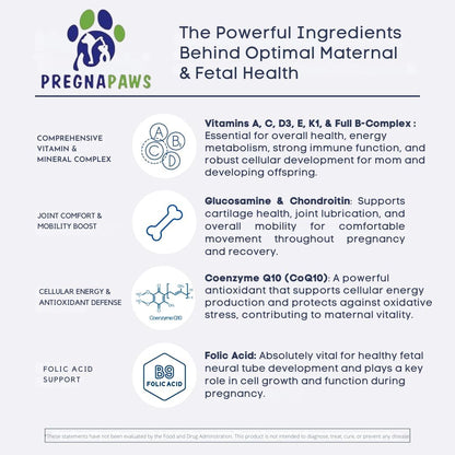 Prenatal Vitamins for Dogs & Cats – Pre & Postnatal Supplement with Probiotics, Glucosamine, MSM, CoQ10, & Essential – Image 3