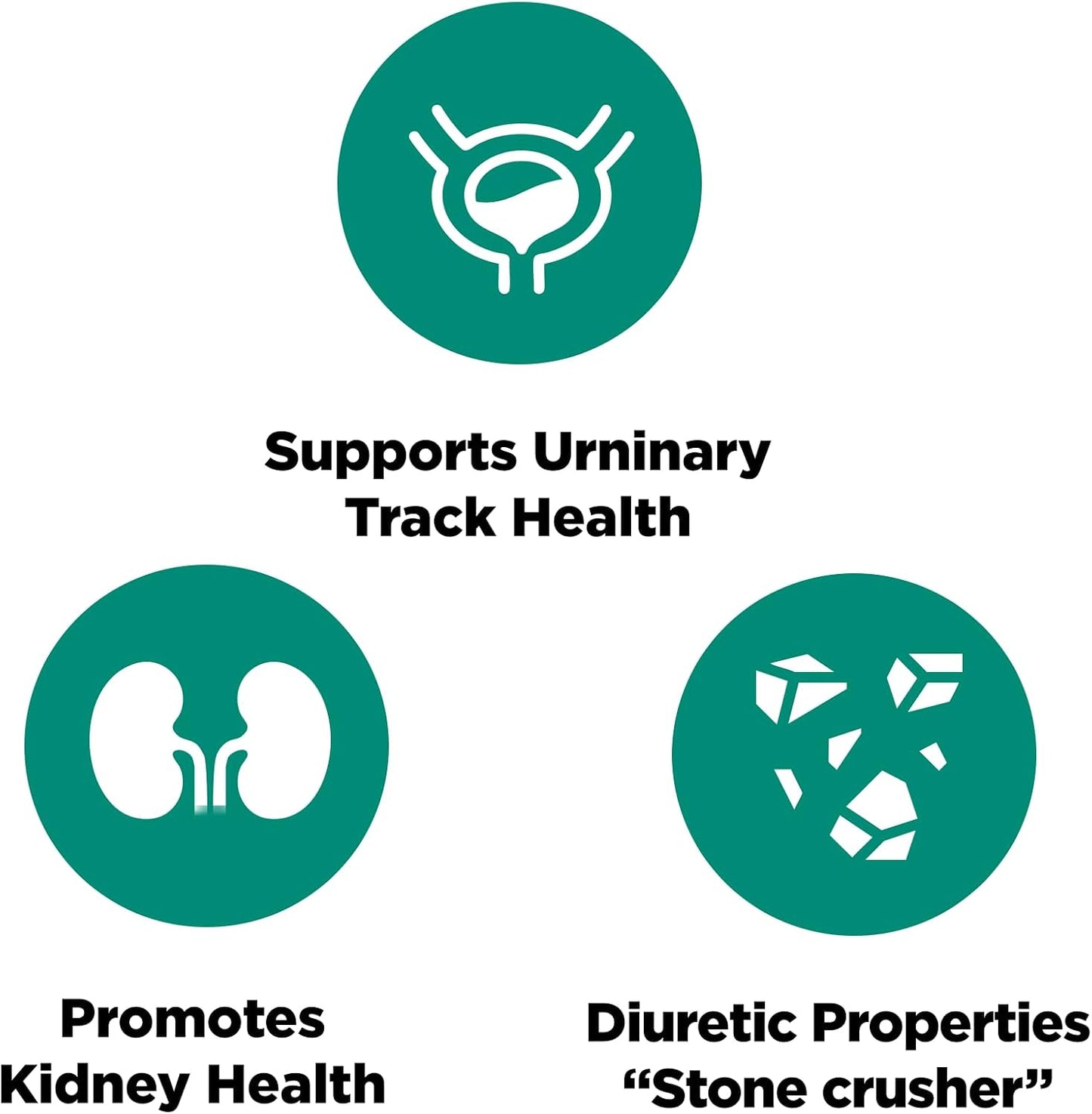 Platinum Naturals Chanca Piedra - Kidney & Urinary Support, 90 Vegetarian Capsules - görsel 4
