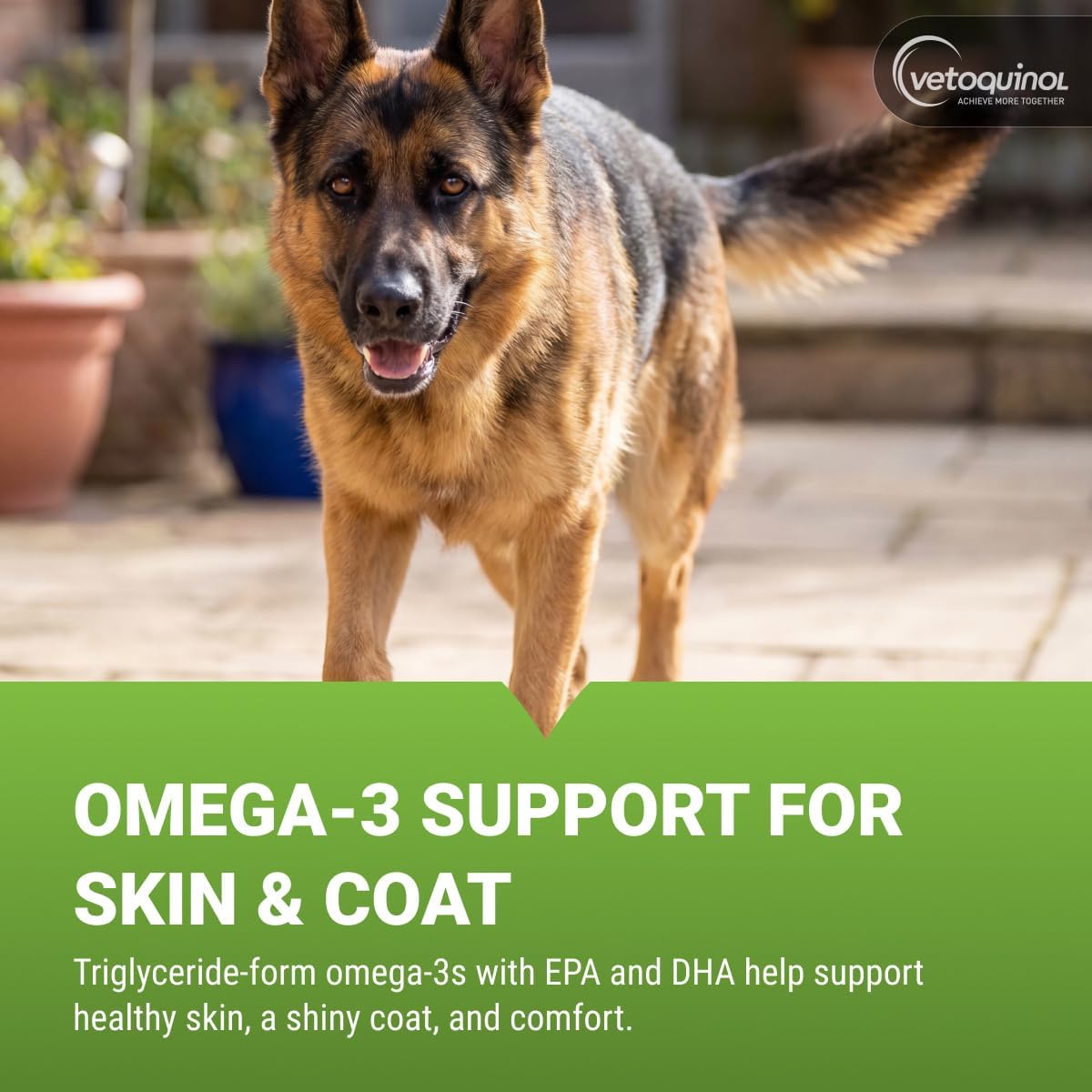 Vetoquinol Triglyceride Omega - Fish Oil for Dogs and Cats - 250 Softgels - görsel 2