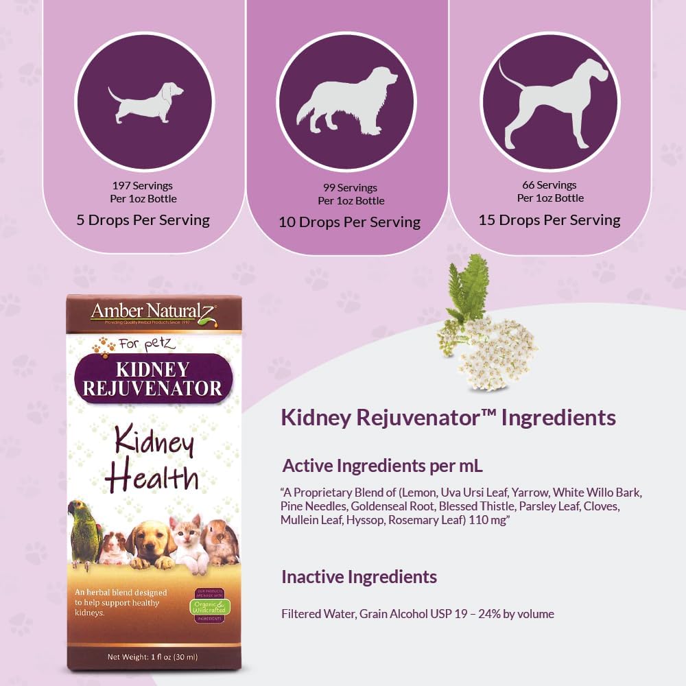 Amber NaturalZ Kidney Rejuvenator Herbal – Natural composition – No artificial colours or flavours, just carefully – Image 4