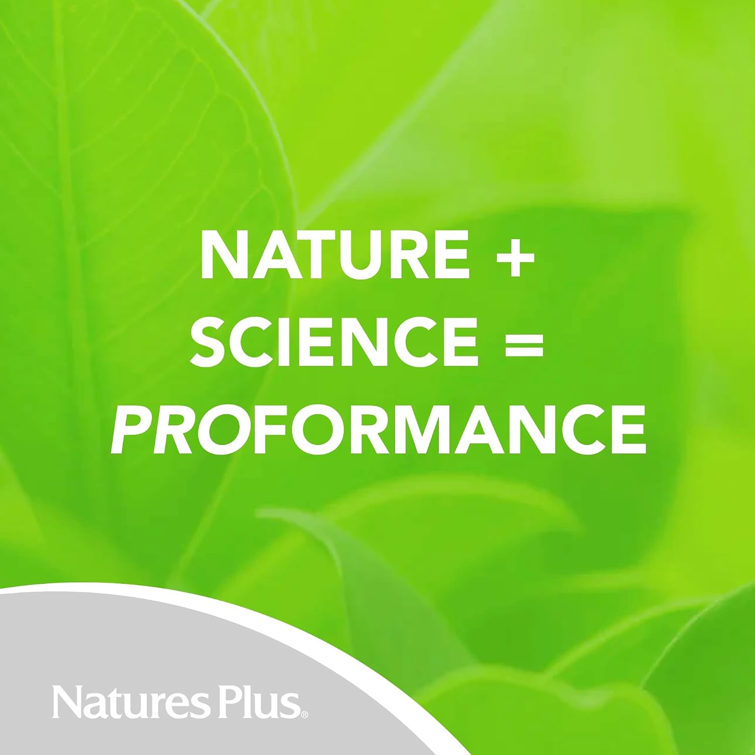 NaturesPlus PRO DIM 200 mg - 60 Capsules - Supports Healthy Estrogen Levels - Non-GM, Vegan & Gluten free - 30 Servings - görsel 6