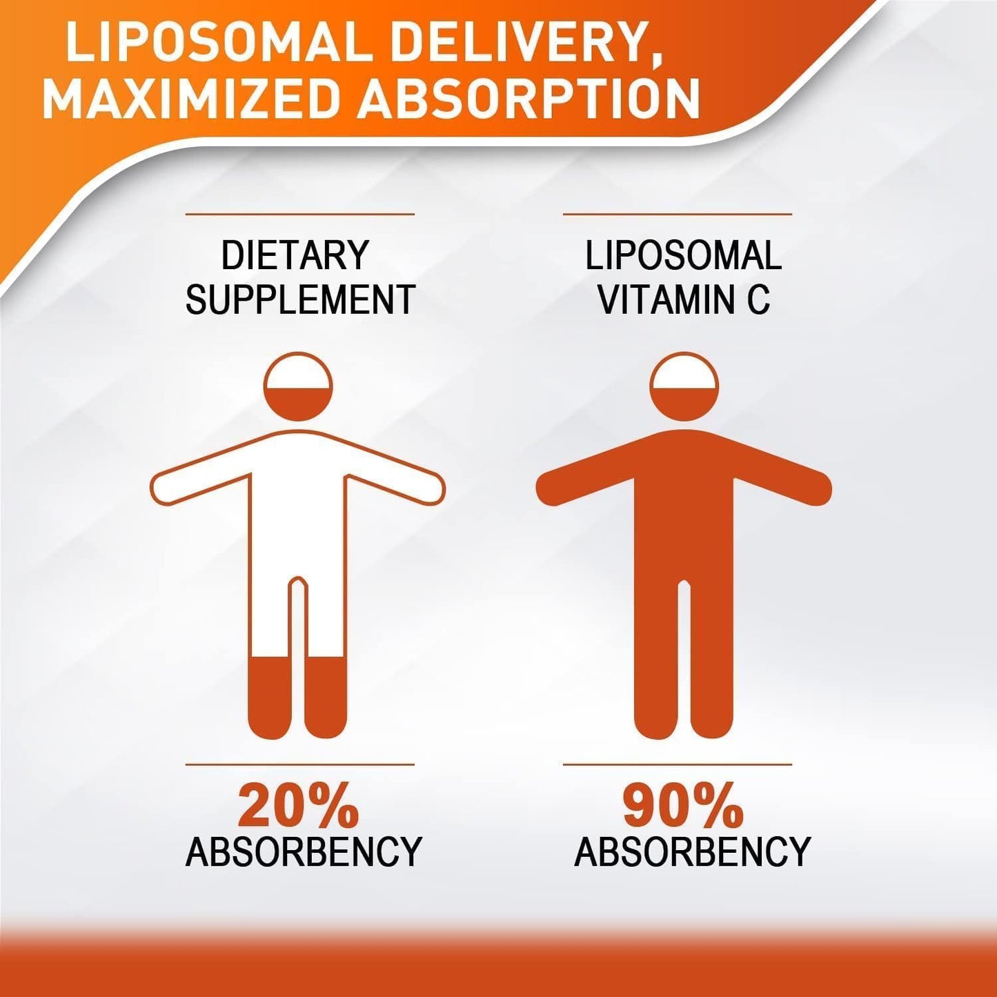 Vitablosom Liposomal Vitamin C 2000mg Liquid, 60ml (10 Bottles) - görsel 2