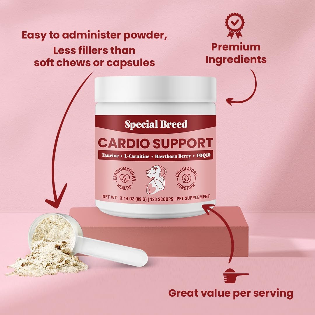 Special Breed Cardio Support for Dogs – – L-Carnitine: Helps transport fatty acids into cells for energy – Image 2