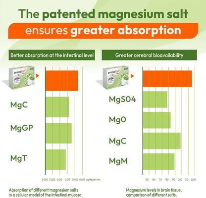 Animafort CronoMag - Magnesium Complex with 6 High-Absorption Salts, Vitamins B12 & D, 60 Capsules – Image 5