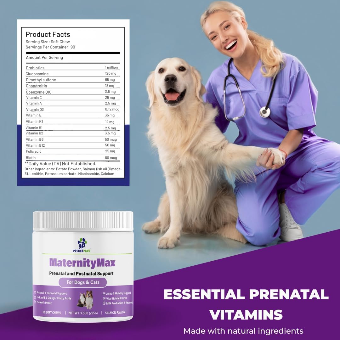 Prenatal Vitamins for Dogs & Cats – Pre & Postnatal Supplement with Probiotics, Glucosamine, MSM, CoQ10, & Essential – Image 8