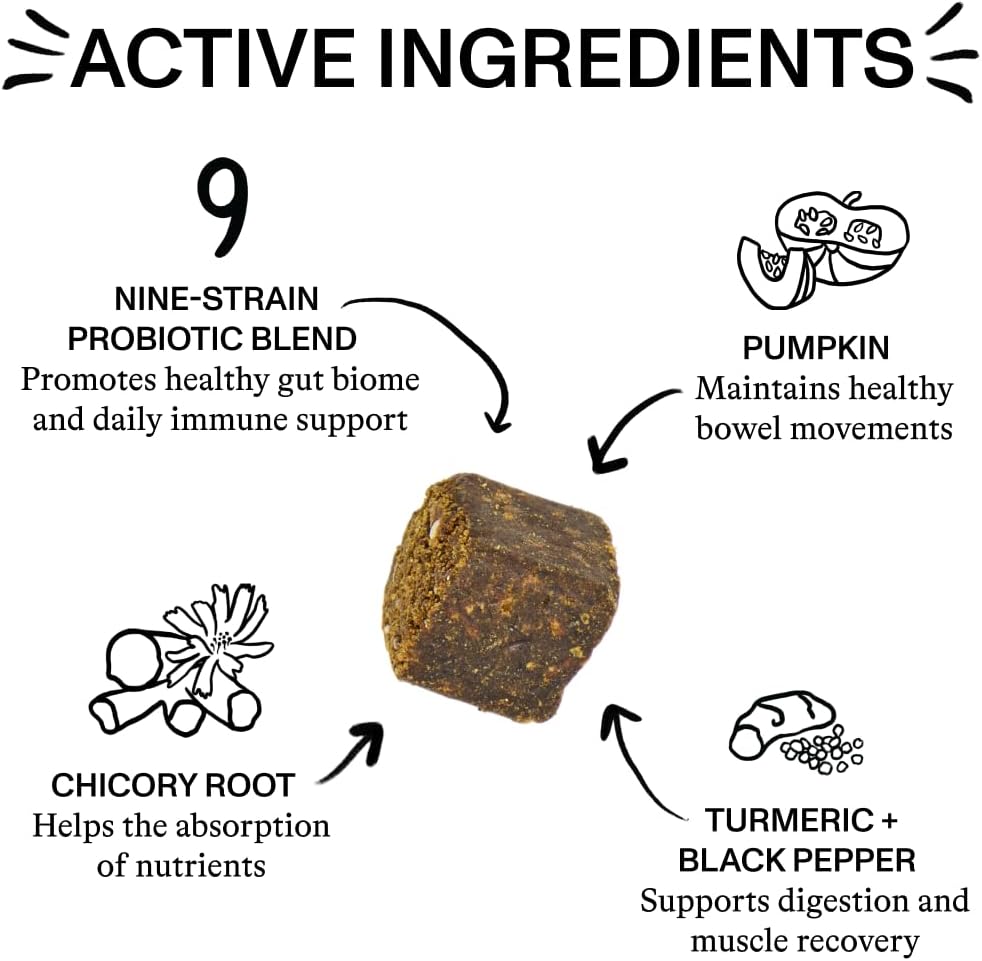 Spot & Tango Probiotics Supplements for Dogs - Vet-Approved for Healthy Digestion and Balanced Gut - Pumpkin, Turmeric, – Image 3