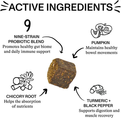 Spot & Tango Probiotics Supplements for Dogs - Vet-Approved for Healthy Digestion and Balanced Gut - Pumpkin, Turmeric, – Image 3