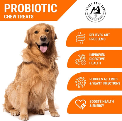 Probiotics for Dogs Soft Chews, 120 Chews – Complete Gut Care for Digestive & Immune Support | Probiotics for Digestive – Image 4