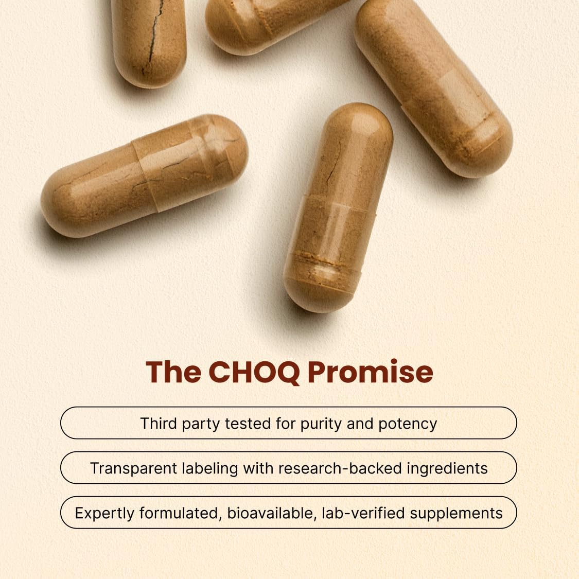 CHOQ Tongkat Ali Extract 100 mg – LJ100 Longjack with 40% Glycosaponins, 30 Vegan Capsules - görsel 3