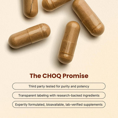 CHOQ Tongkat Ali Extract 100 mg – LJ100 Longjack with 40% Glycosaponins, 30 Vegan Capsules
