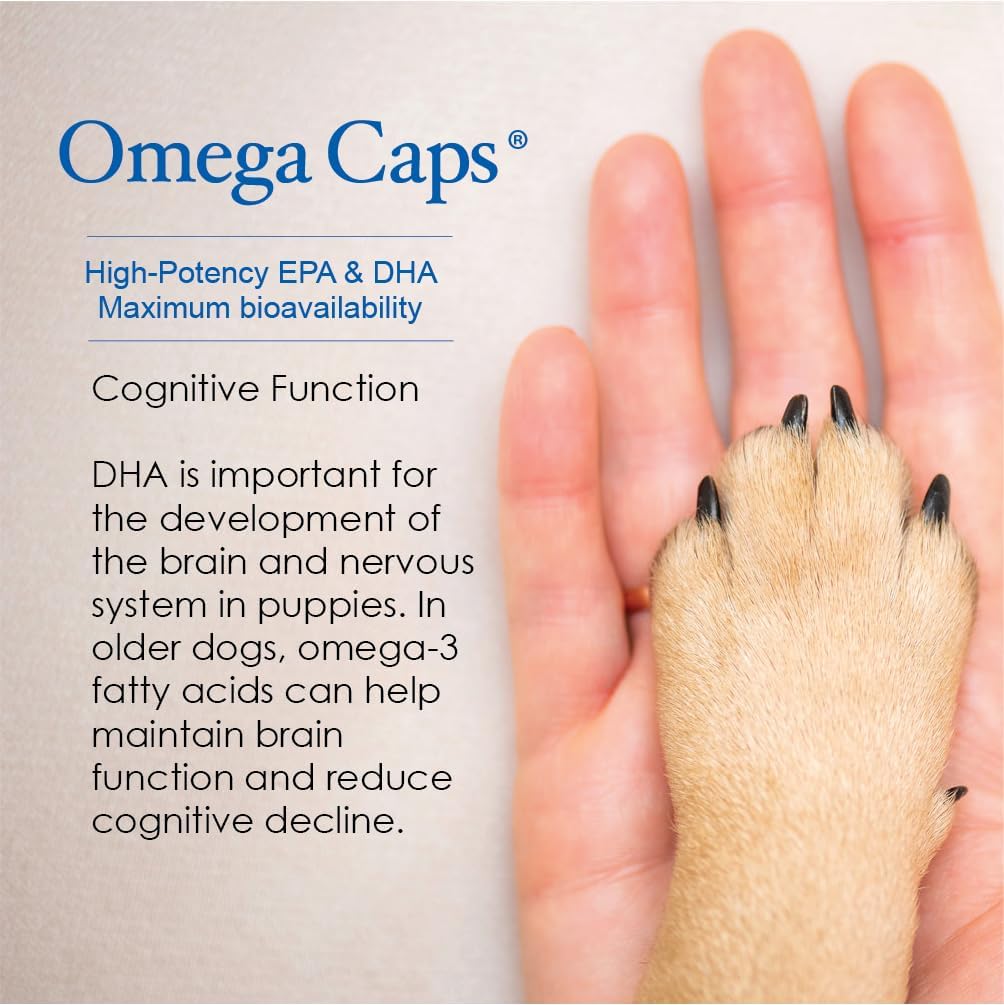 Omega-Caps HP Snip Tips for Cats & Smaller Dogs - Omega-3 Fish Oil Supplement with EPA, DHA, Vitamins, Minerals and Antioxidants - Supports Immune, Joint, Heart and Brain Health - 60 Softgels - görsel 6
