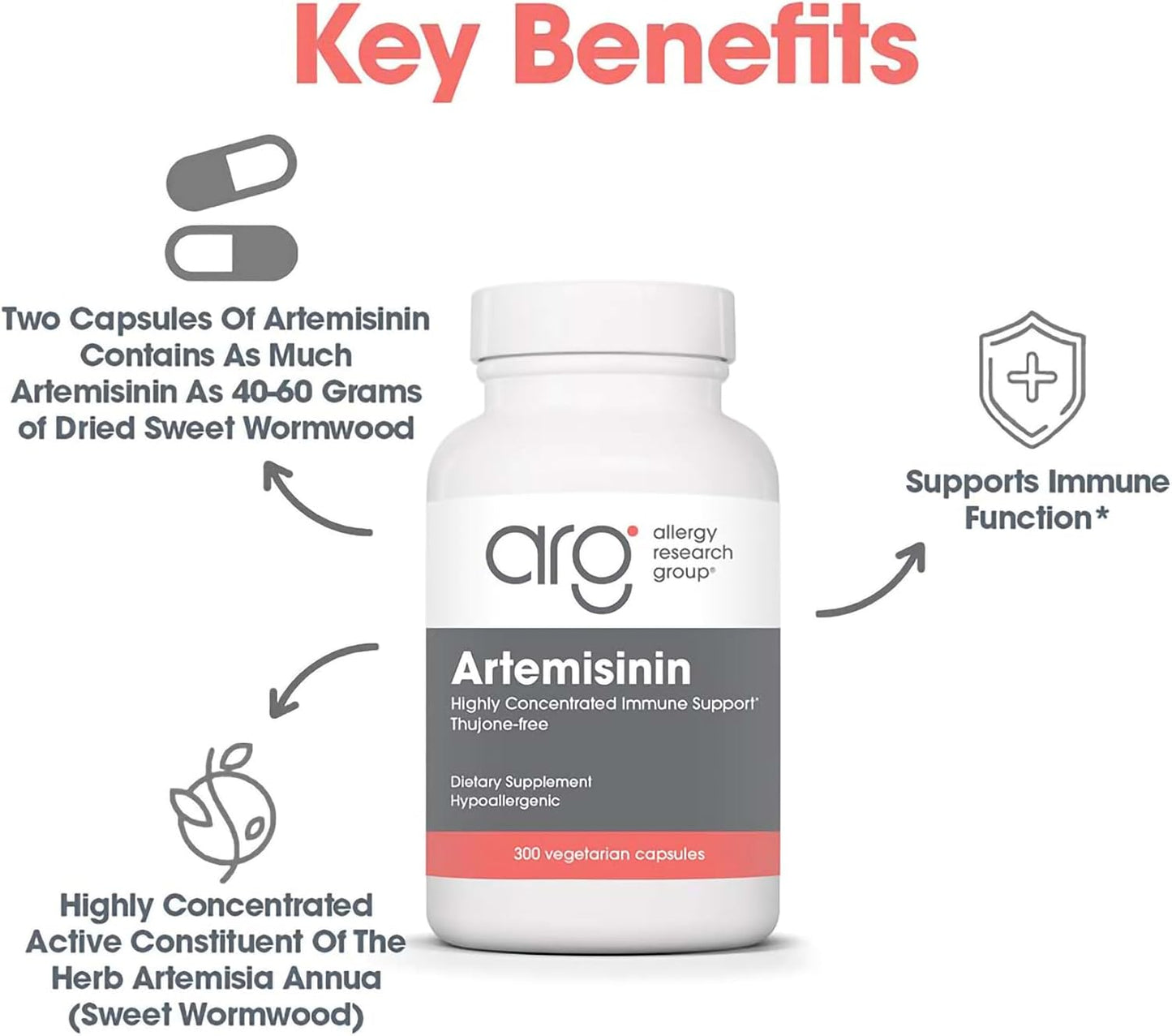Artemisinin 200 mg – Sweet Wormwood Extract – 300 Capsules - görsel 4