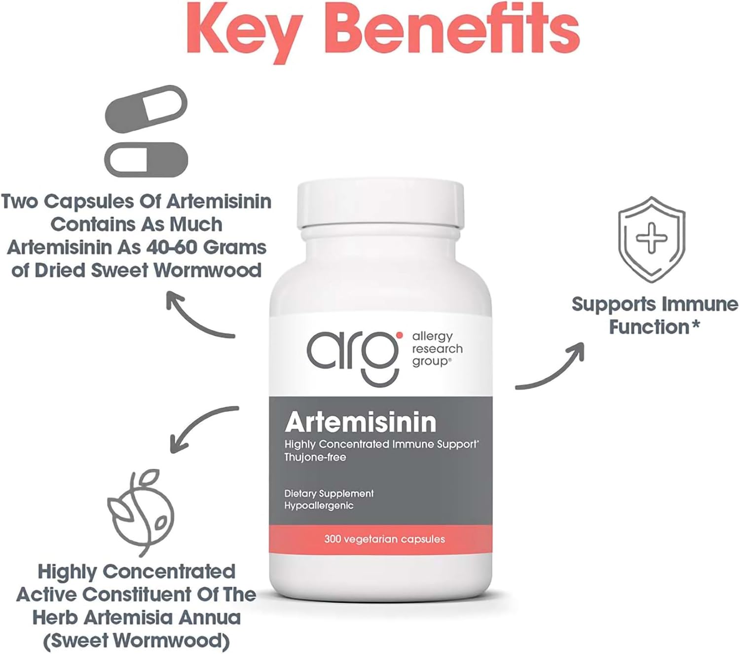 Artemisinin 200 mg – Sweet Wormwood Extract – 300 Capsules - görsel 4
