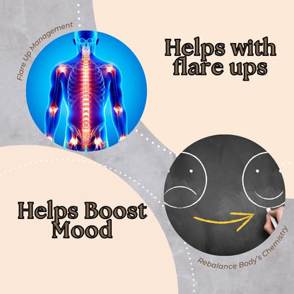 Research Labs Liposomal NMNH 500mg Per – Contributes to cardiovascular health – NAD+ supports vessel dilation and – Image 4