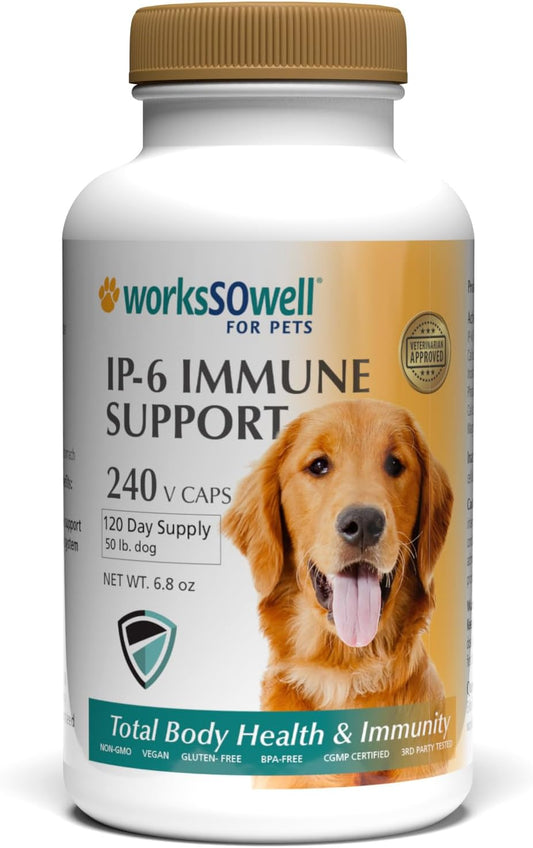1-TDC WorksSoWell IP-6 Immune Support for – Antioxidant Protection: IP-6 helps mop up free radicals, cutting down – Image 1