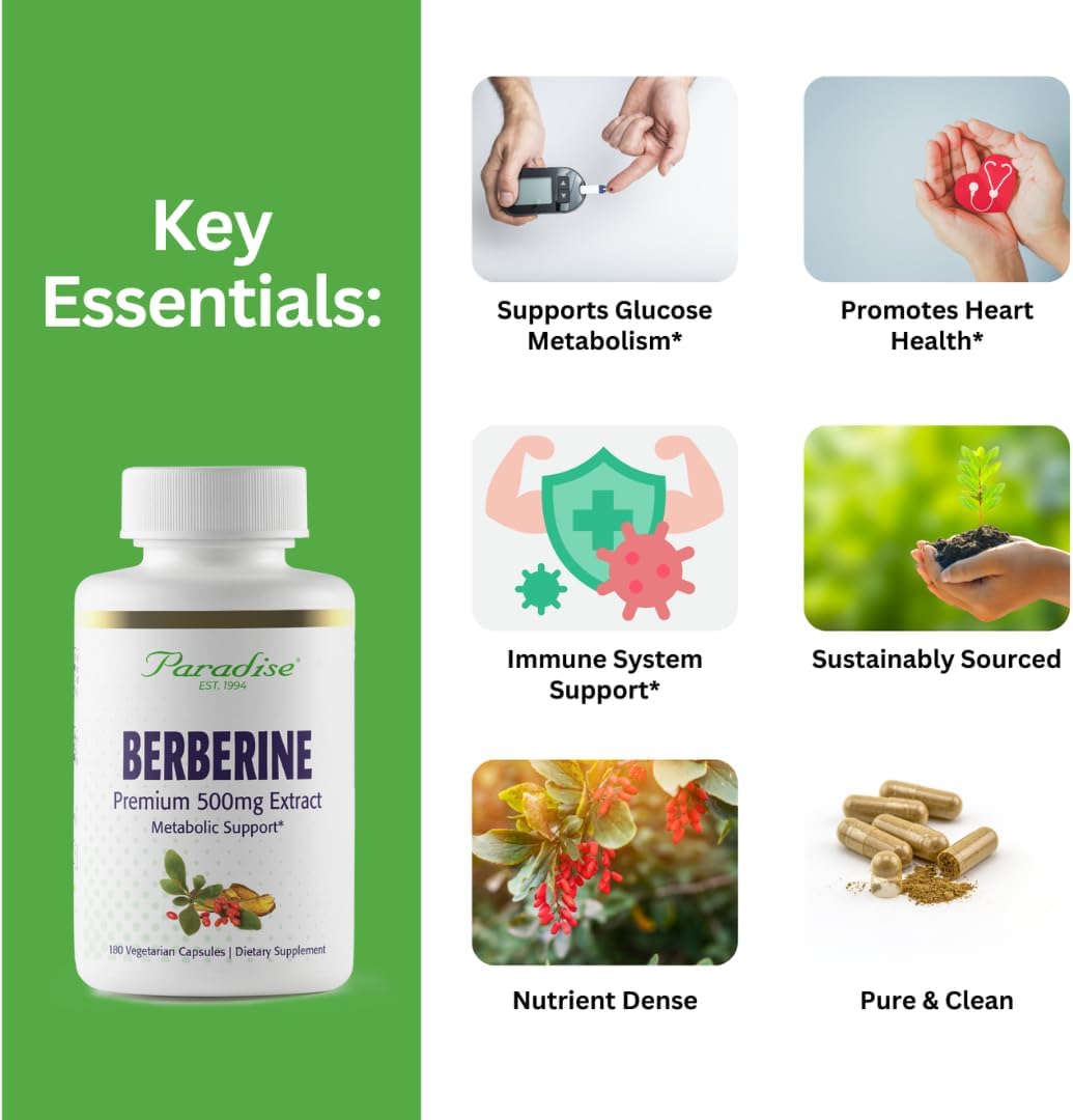 Paradise Herbs Berberine Extract 500 mg – Pure & Potent Supplement, 180 Vegan Capsules - görsel 6