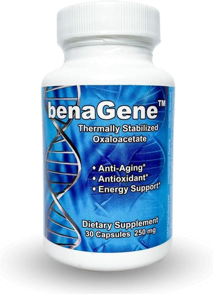 Benagene Oxaloacetate Supplement – Supports Cellular Energy, Healthy Metabolism & Body Regulation – Thermally Stabilised with Vitamin C – Non-GM & Vegan – Once Daily (90 Servings)