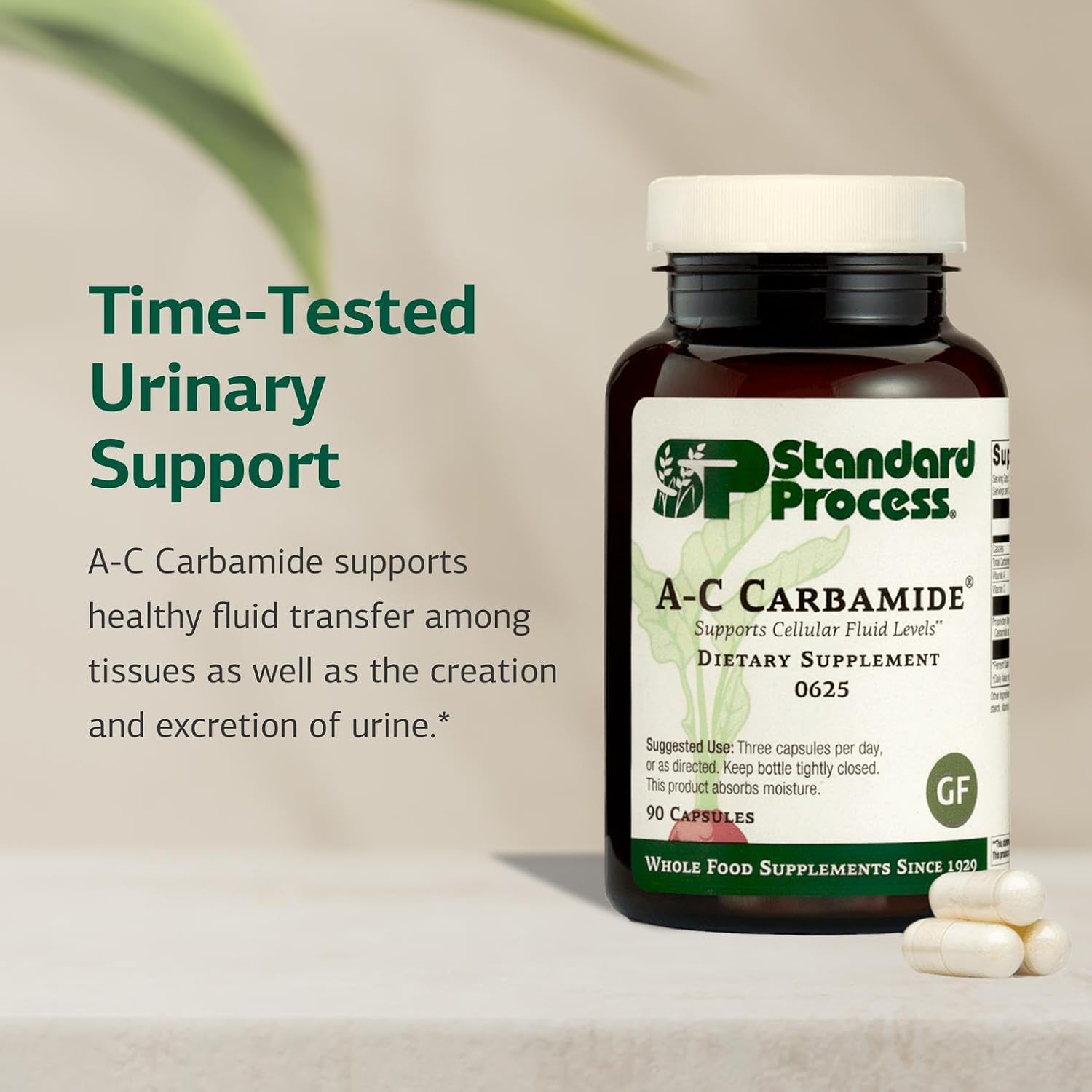 Standard Process A-C Carbamide – Urinary Support Supplement with Vitamins A & C – 90 Capsules - görsel 3