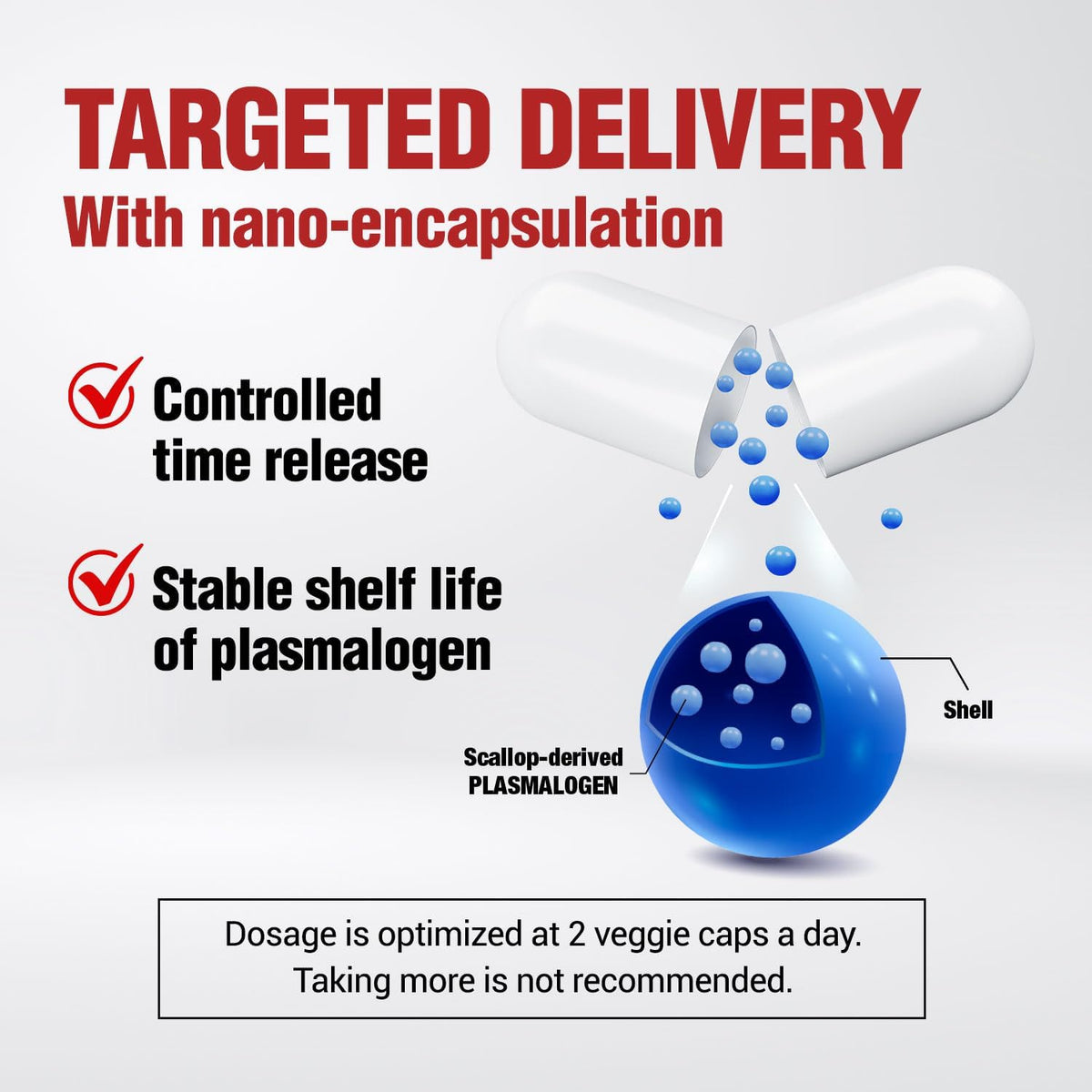 LABO Nutrition NeuroREGAIN – Scallop-derived – Protection: Helps shield brain cells from oxidative stress and cell – Image 6