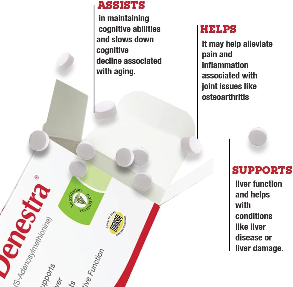 Denestra SAMe for Dogs – S-Adenosyl-L-Methionine – Liver, Joint & Cognitive Support – Promotes Brain Function & Mobility – Vet-Recommended Formula – 200 mg – 60 Chewable Tablets - görsel 2