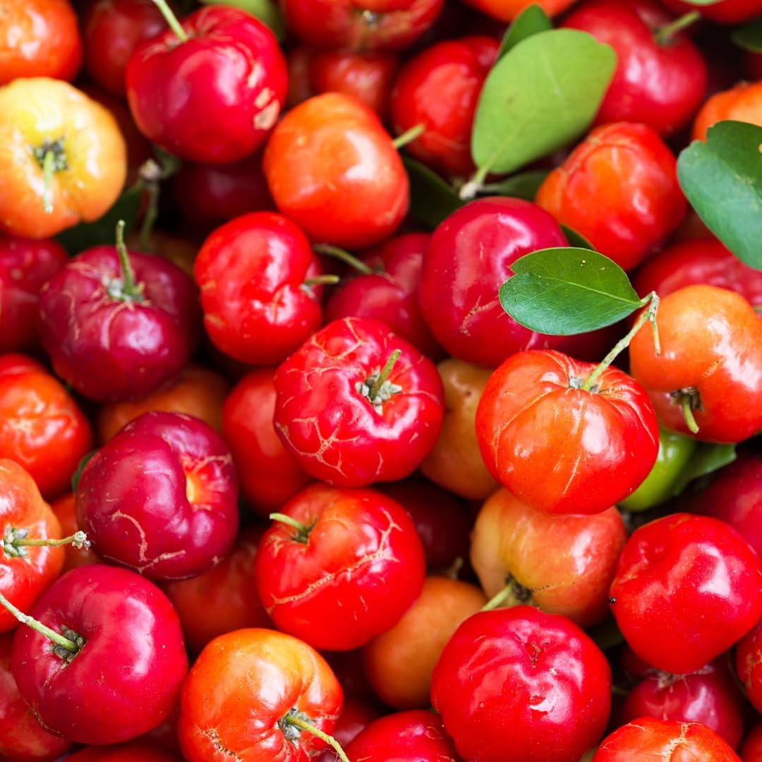 Pure Original Ingredients Acerola Cherry (100 Capsules) - Naturally Pure, No Additives - görsel 5