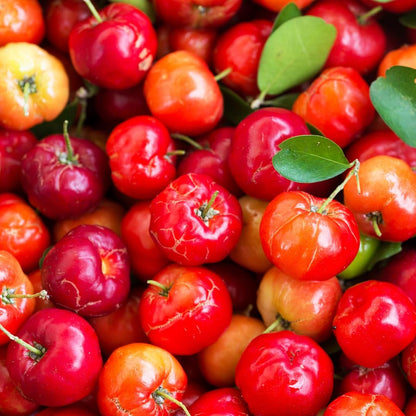 Pure Original Ingredients Acerola Cherry (100 Capsules) - Naturally Pure, No Additives