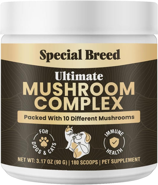 Mushroom Powder for Dogs & Cats - Organic – Immune Support: The beta‑glucans in mushrooms help support a balanced – Image 1