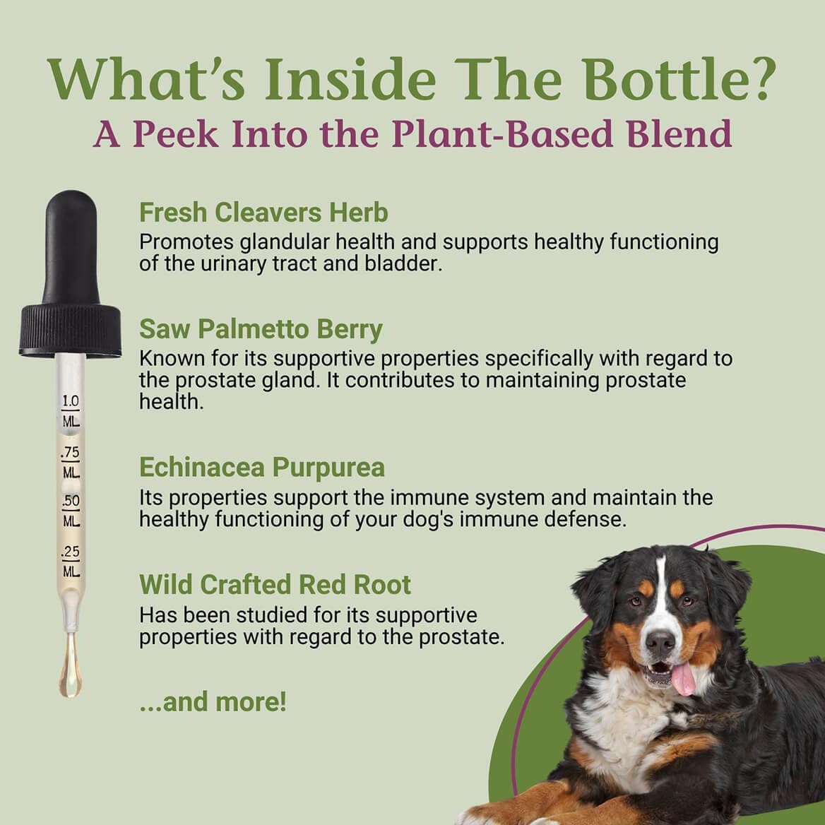 PetAlive ProsPet Drops – Herbal Supplement for Dog Prostate, Bladder and Urinary Support - görsel 4