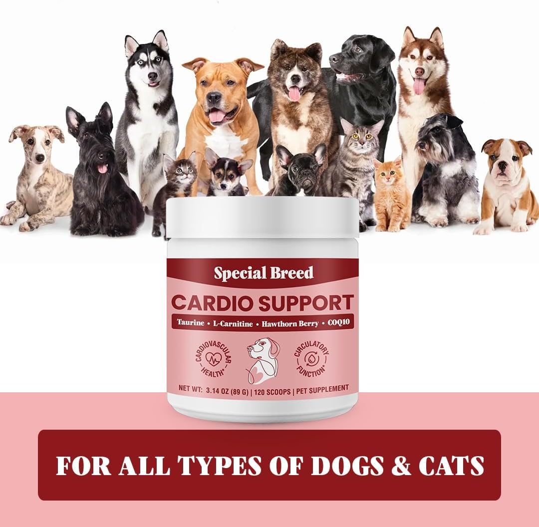 Special Breed Cardio Support for Dogs – – L-Carnitine: Helps transport fatty acids into cells for energy – Image 6
