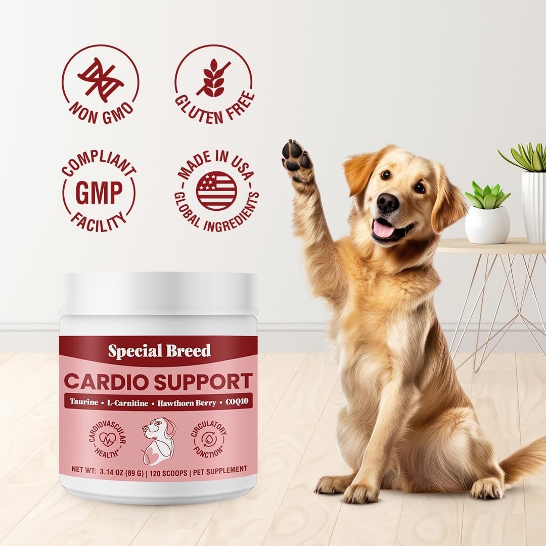 Special Breed Cardio Support for Dogs – – Organic Hawthorn Berry: Traditionally used to promote healthy blood flow – Image 4