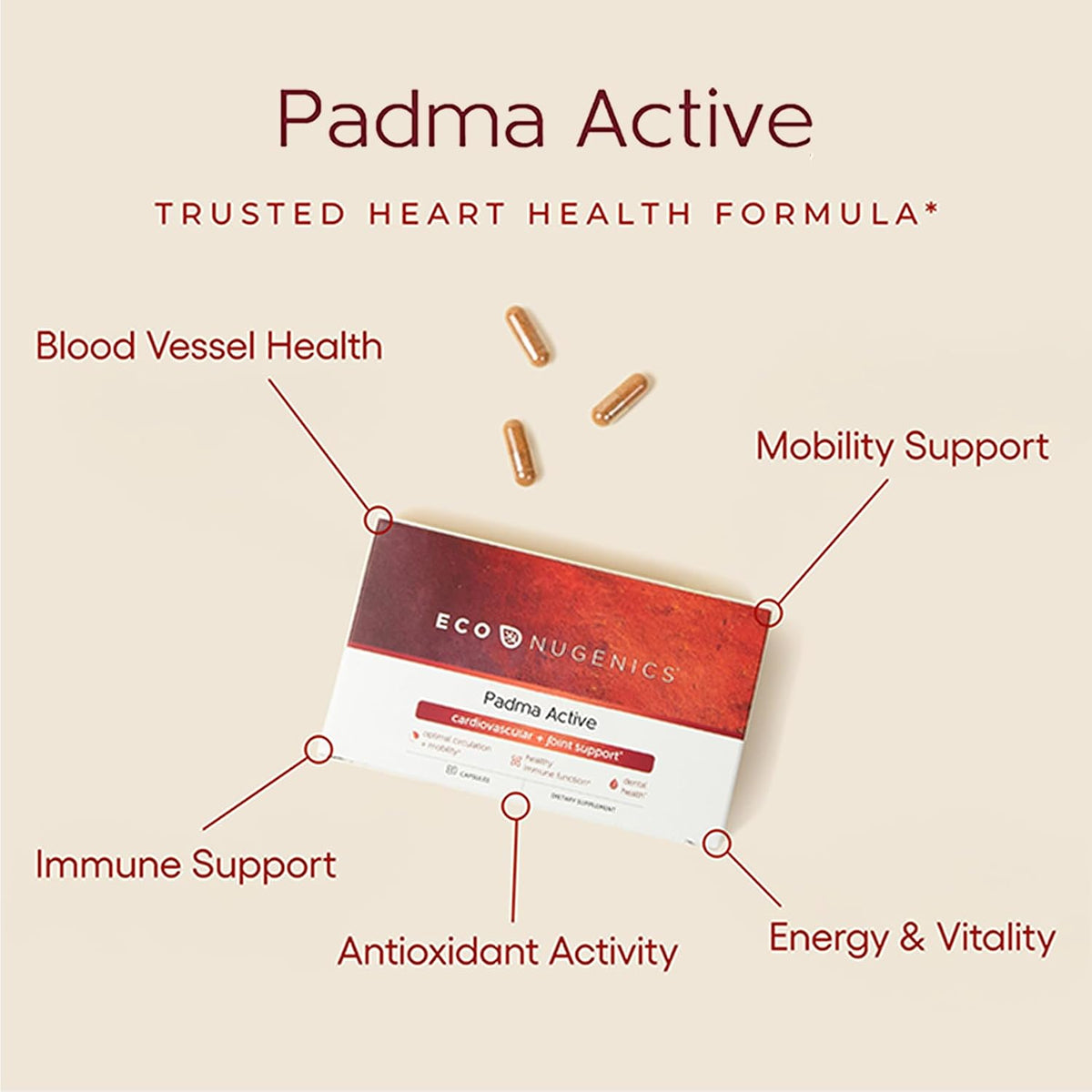 EcoNugenics Padma Active for Women's and – Ginger (Zingiber officinale): Known for its antioxidant and digestive – Image 2