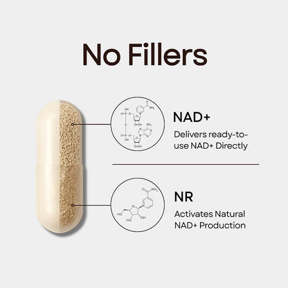 GentRx Third-Party Tested NAD+ & NR – Healthy Ageing: NAD+ activates sirtuins, proteins linked to longevity and – Image 2