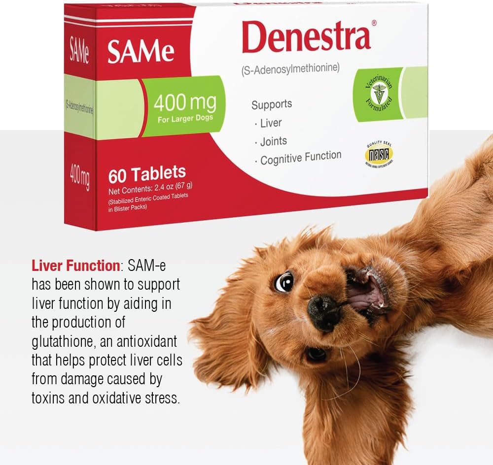 Denestra SAMe for Dogs – S-Adenosyl-L-Methionine – Liver, Joint & Cognitive Support – Promotes Brain Function & Mobility – Vet-Recommended Formula – 200 mg – 60 Chewable Tablets - görsel 3