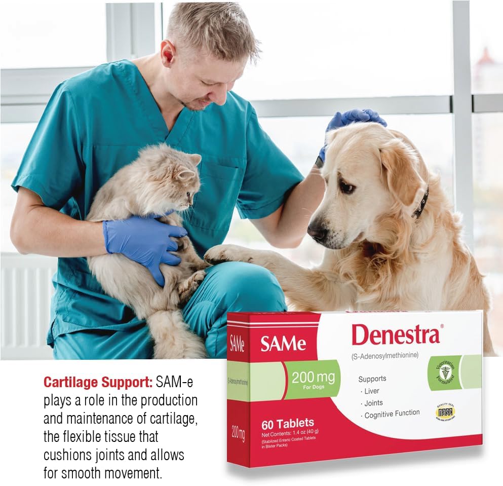 Denestra SAMe for Dogs – S-Adenosyl-L-Methionine – Liver, Joint & Cognitive Support – Promotes Brain Function & Mobility – Vet-Recommended Formula – 200 mg – 60 Chewable Tablets - görsel 4