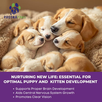 Prenatal Vitamins for Dogs & Cats – Pre & Postnatal Supplement with Probiotics, Glucosamine, MSM, CoQ10, & Essential – Image 4