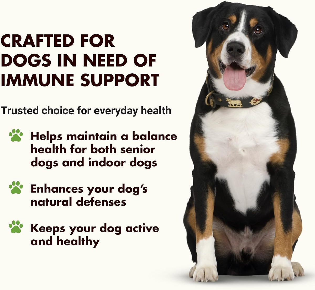 Immune Support for Dogs – Antioxidant – Vitamin E : A powerful fat-soluble antioxidant, vitamin E helps protect – Image 2