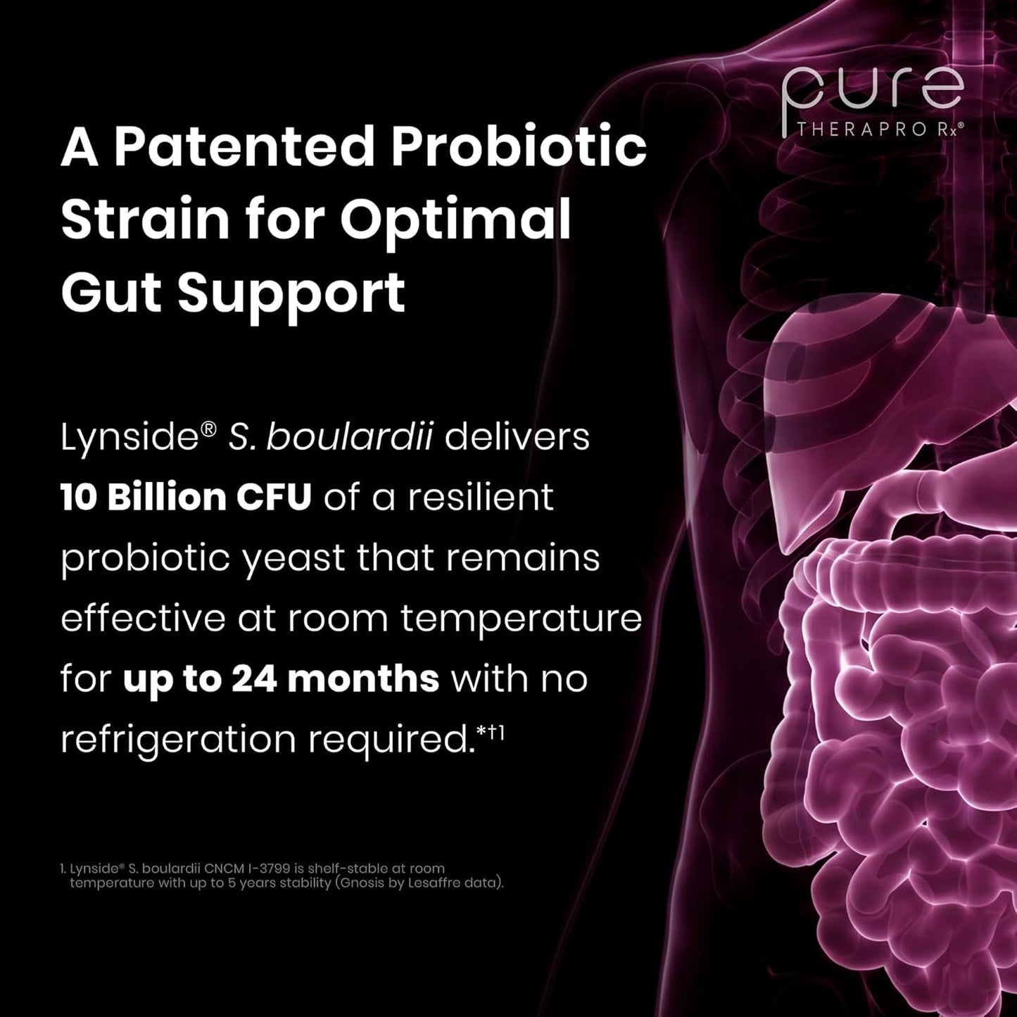 Pure Therapro Rx Saccharomyces Boulardii Probiotic – 10 Billion CFU, 240 Capsules - görsel 6