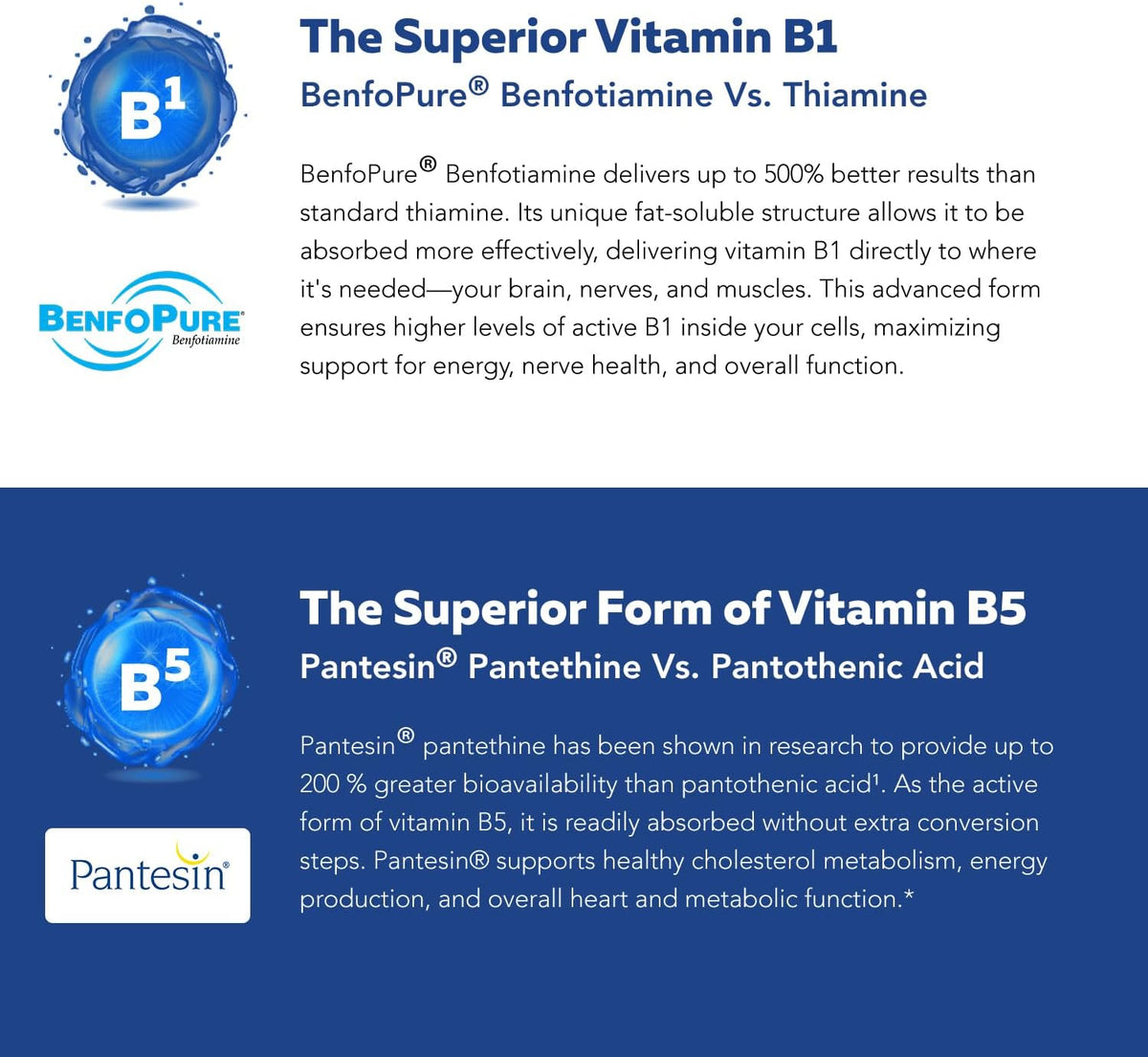 BioActive Vitamin B Complex - Blood Stream – B9 (Folate) as L-Methylfolate (5-MTHF): The most bioactive form of – Image 7