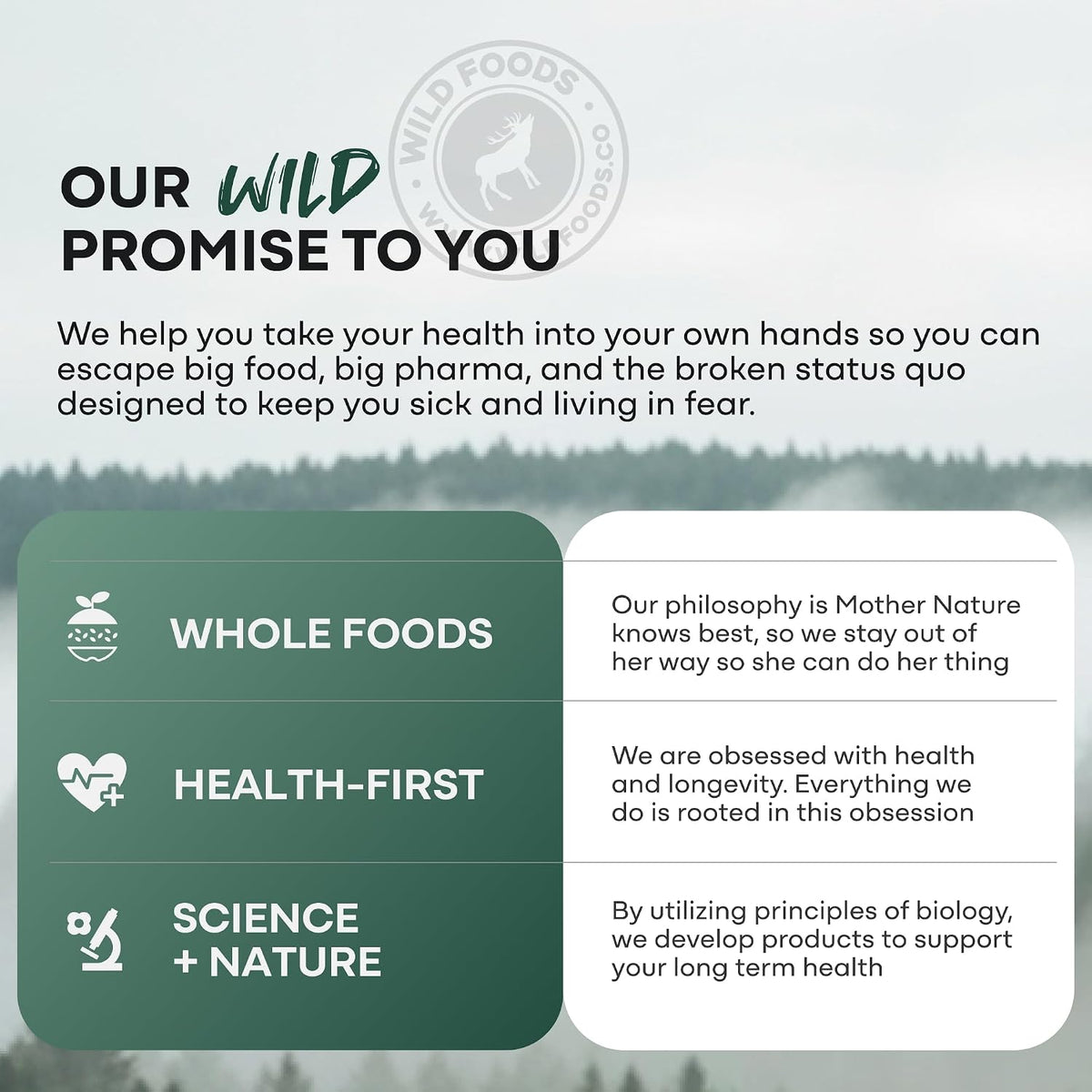 Wild Methylated Multivitamin for Women's & – Antioxidant Support: Vitamins C, E, ALA, and CoQ10 help combat – Image 10