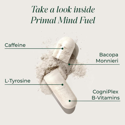 Primal Mind Fuel Brain Supplement – Nootropic for Focussed, Energy and Memory (2 Pack)