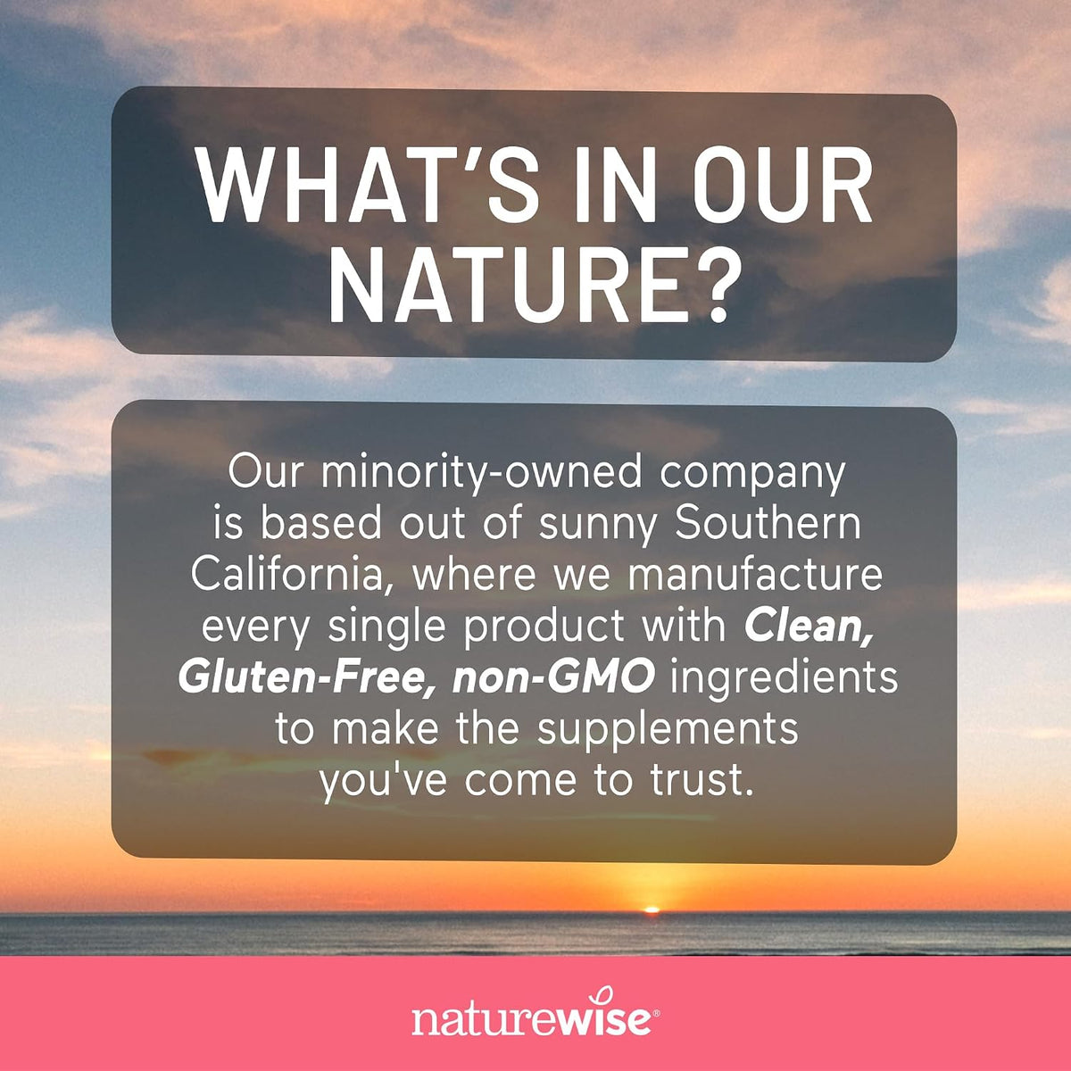 NatureWise Liquid Multivitamin, Sugar-free & – Methylated B12 (methylcobalamin) & Methylfolate (B9): These – Image 10