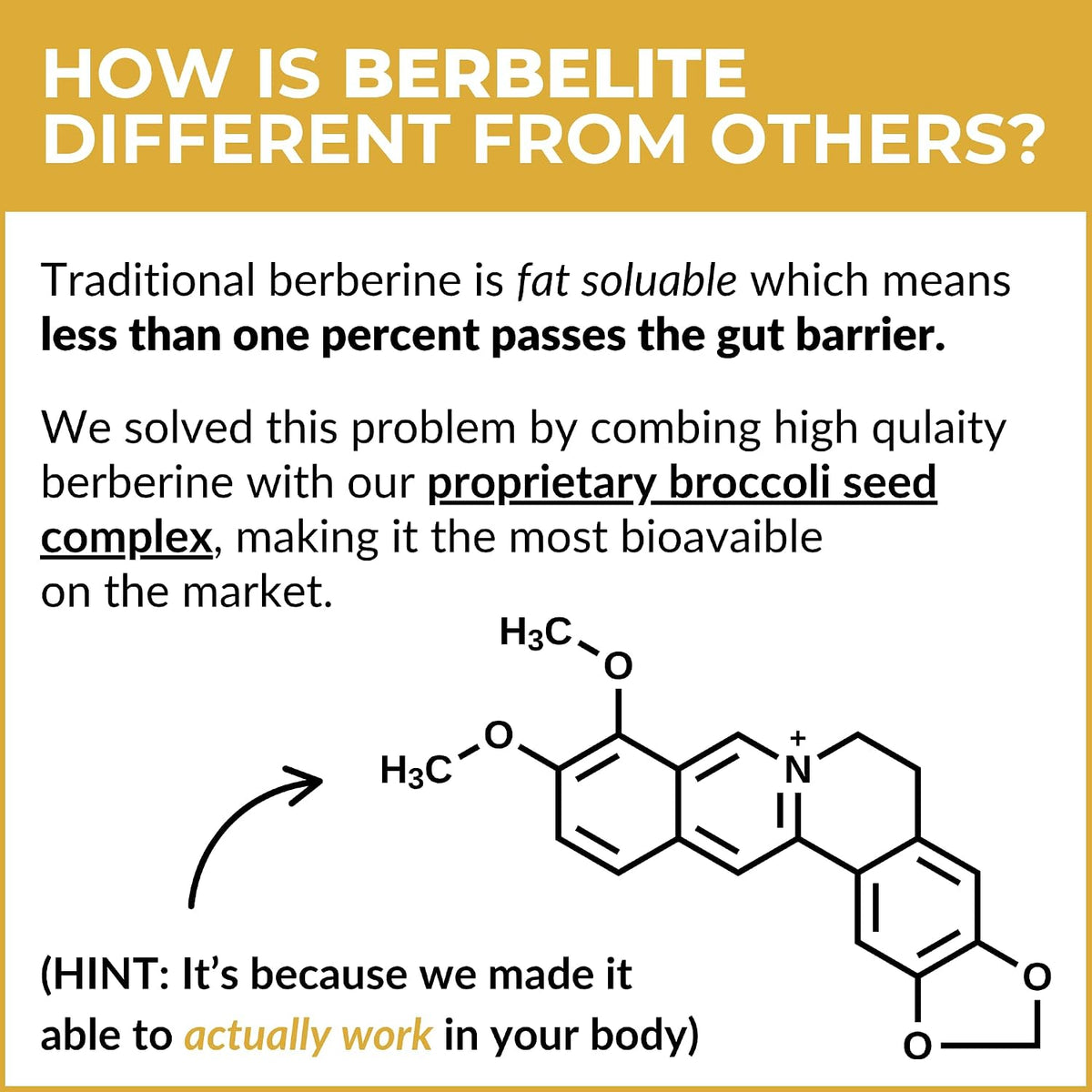 Mara Labs BerbElite | 350mg Berberine HCL & Broccoli Seed Complex for Enhanced Bioavailability | 30 Vegan Capsules – Image 6