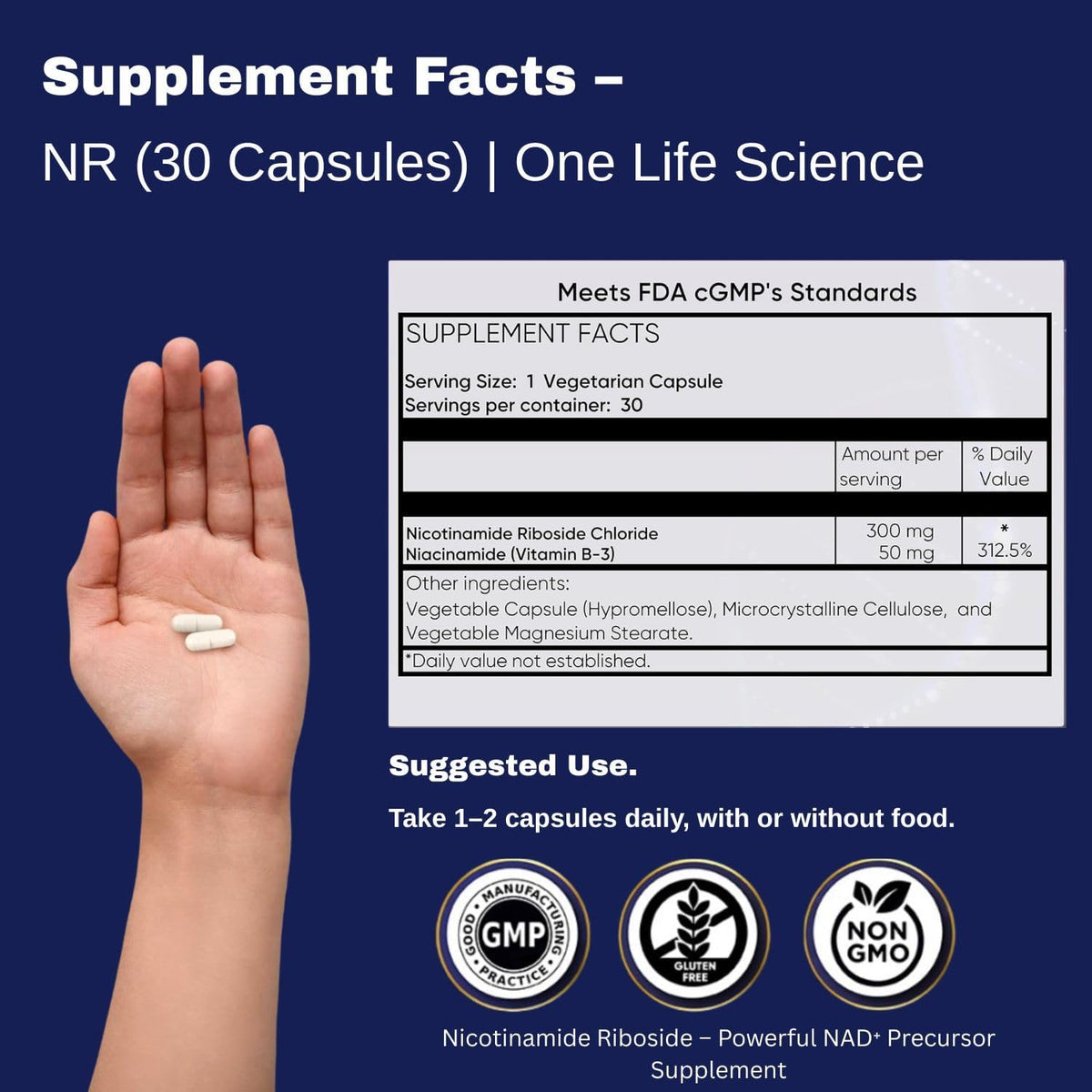 Ageless NAD+ Supplement - Nicotinamide – Cellular energy and longevity: Replenish NAD+ to enhance mitochondrial – Image 6