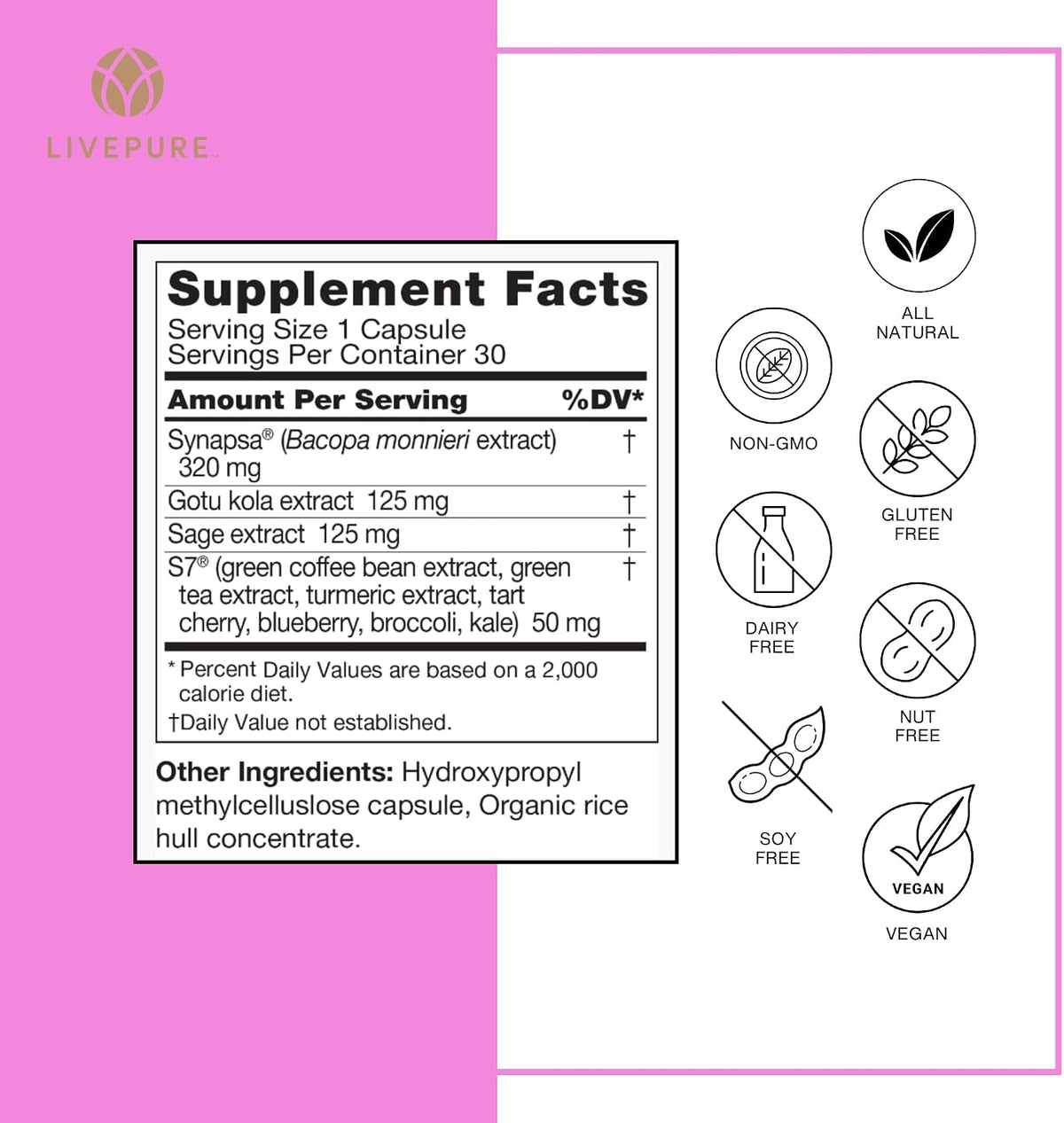 Pure Neuro Boost | 30 Capsules | Nootropic – Focus & Concentration: The plant extract blend promotes sustained – Image 6