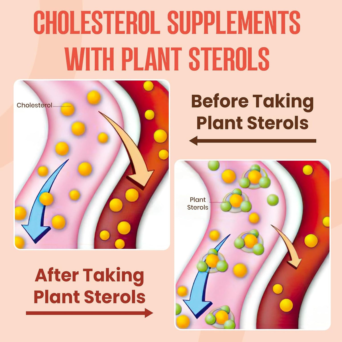Cholesterol Support Gummy Complex with Plant – Guggul: A resin from the Commiphora mukul tree, used in Ayurvedic – Image 4