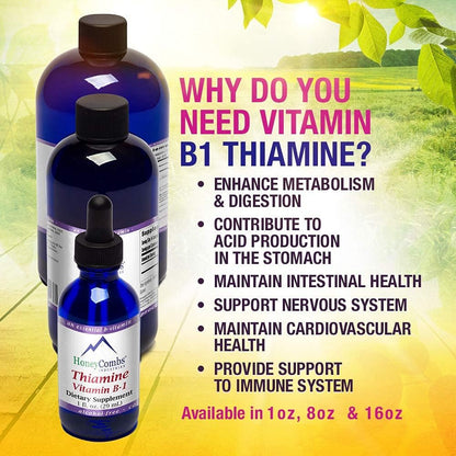 HoneyCombs Vitamin B1 (Thiamine) Liquid Drops - High Potency - Nervous System, Energy & Overall Health - Vegan Liquid B Vitamins (240 mL)