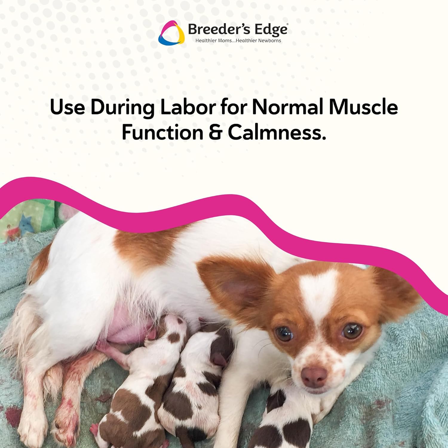 Breeder's Edge Oral Cal Plus Gel - Calcium Supplement for Dogs and Cats in Labour (30ml Paste) - görsel 5
