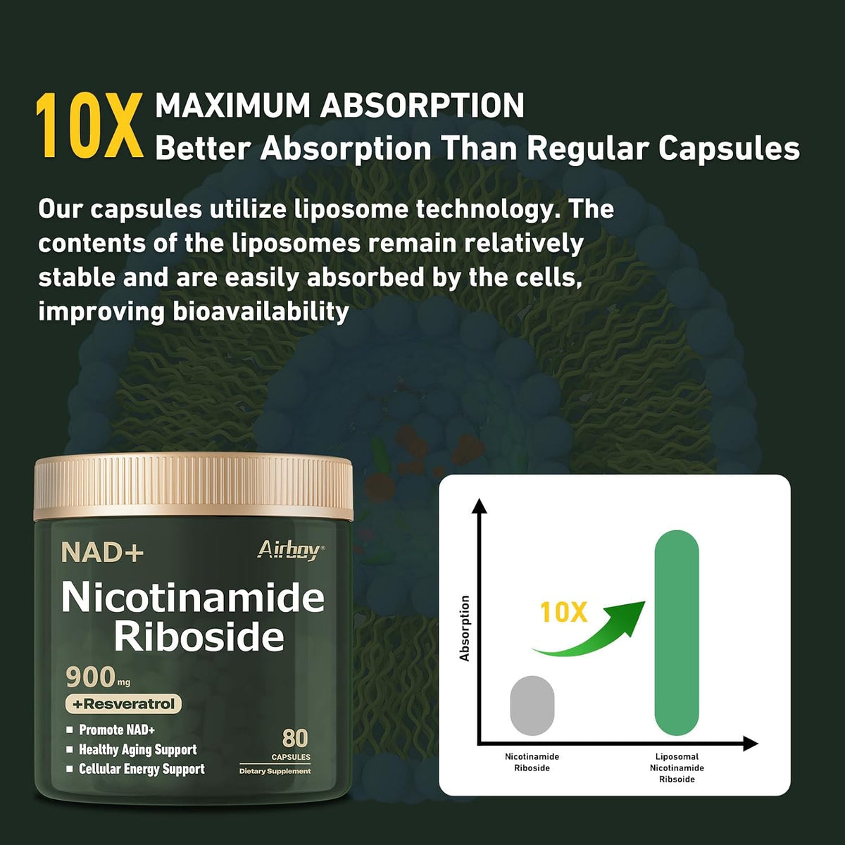 Airboy Liposomal Nicotinamide Riboside 900 – Trans-resveratrol: A polyphenol found in grapes and berries, known – Image 5